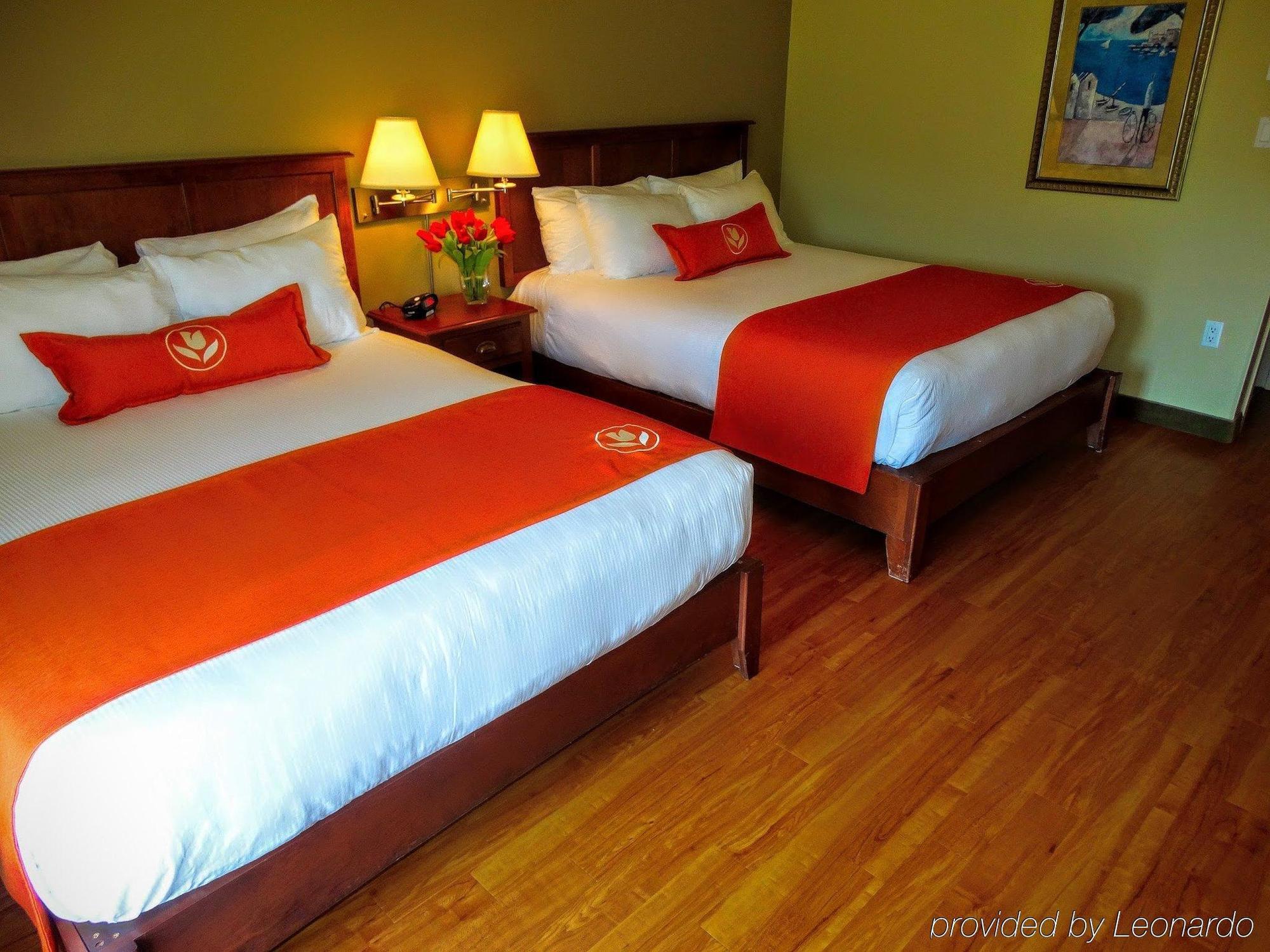 Amsterdam Inn & Suites Moncton Ngoại thất bức ảnh