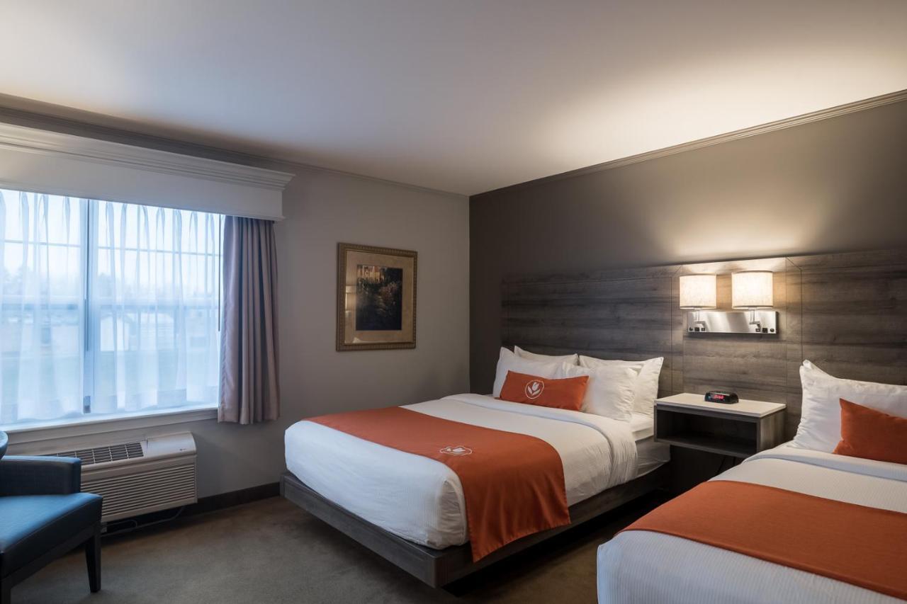 Amsterdam Inn & Suites Moncton Ngoại thất bức ảnh