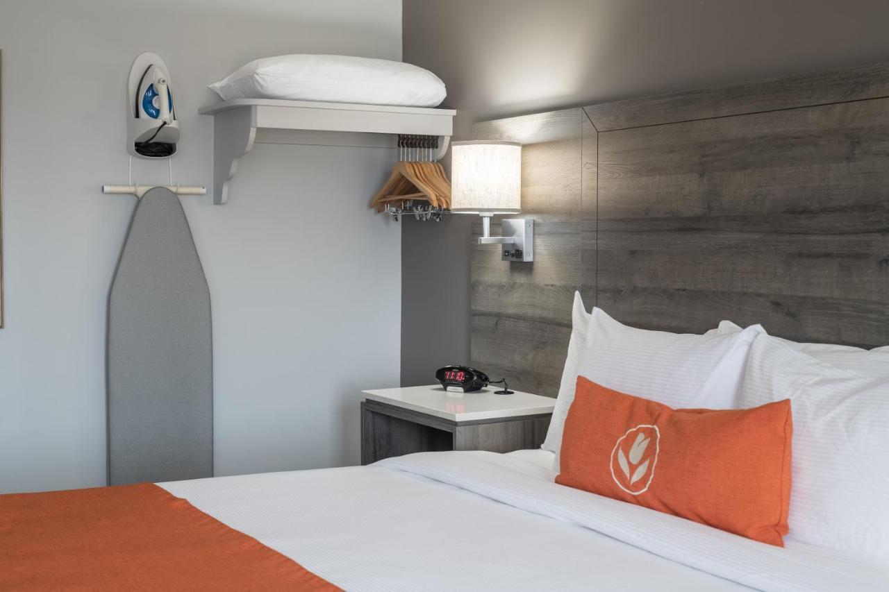 Amsterdam Inn & Suites Moncton Ngoại thất bức ảnh