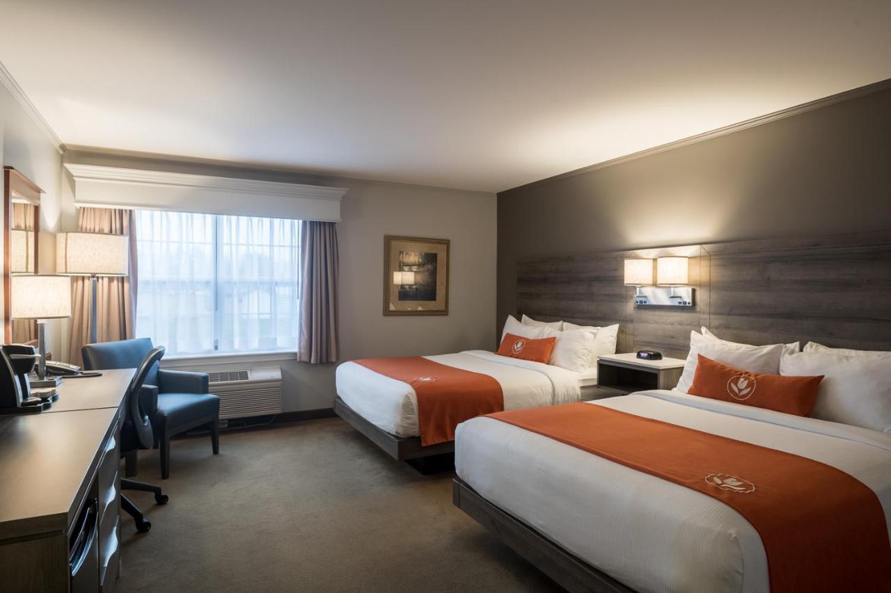 Amsterdam Inn & Suites Moncton Ngoại thất bức ảnh