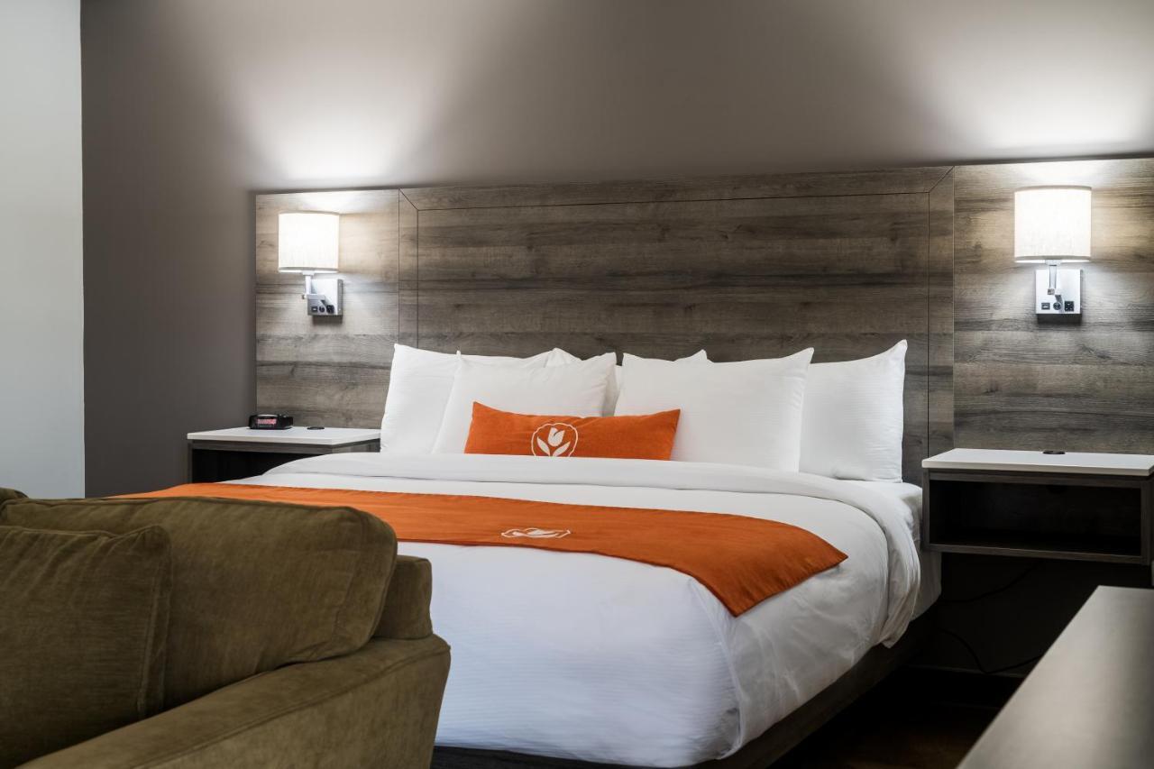 Amsterdam Inn & Suites Moncton Ngoại thất bức ảnh